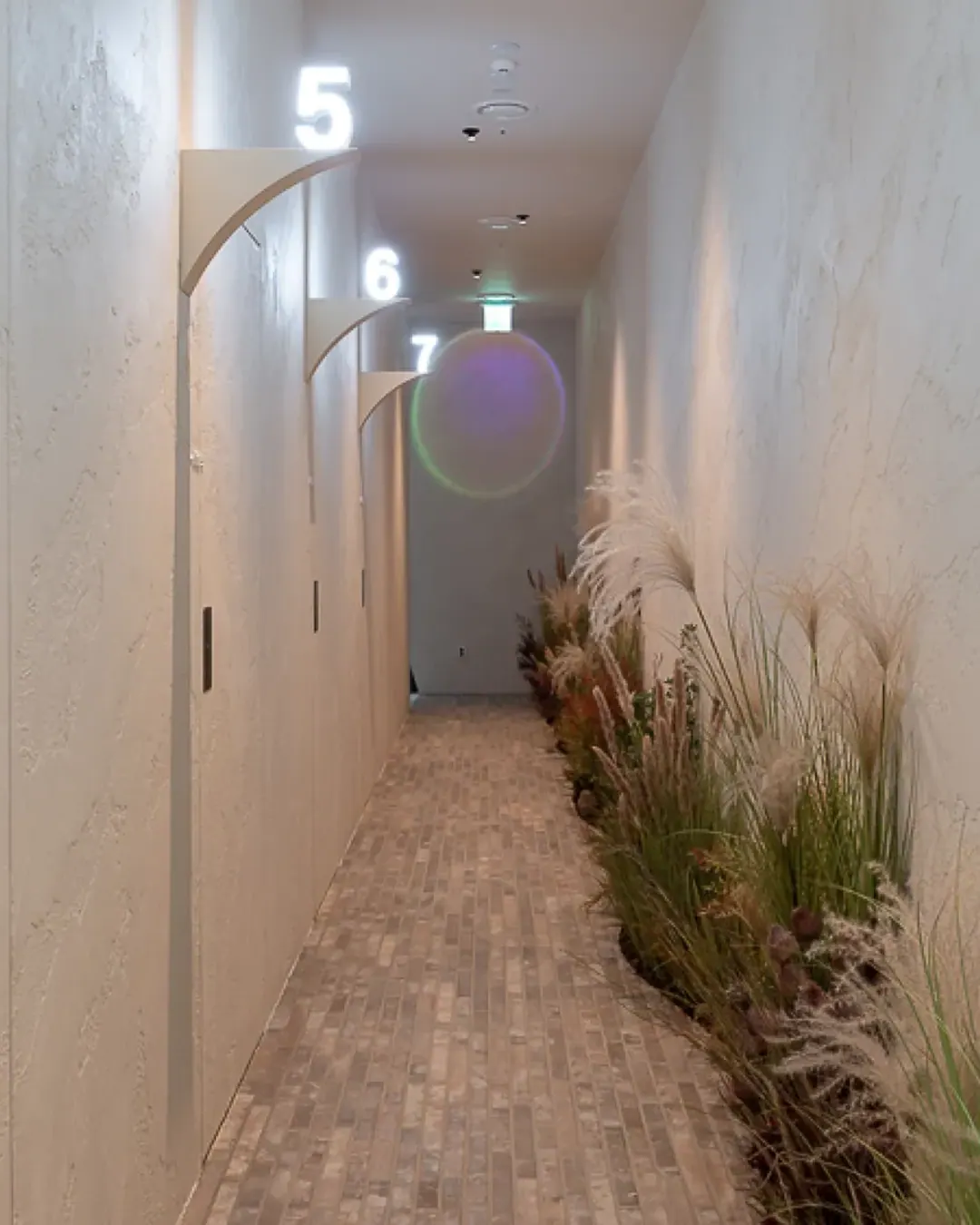 The corridor to the private rooms, laid out so patients do not cross paths